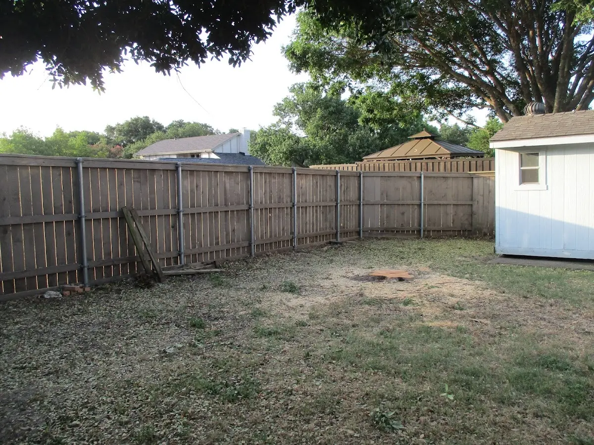 Cleared yard after professional tree removal in Brownsdale
