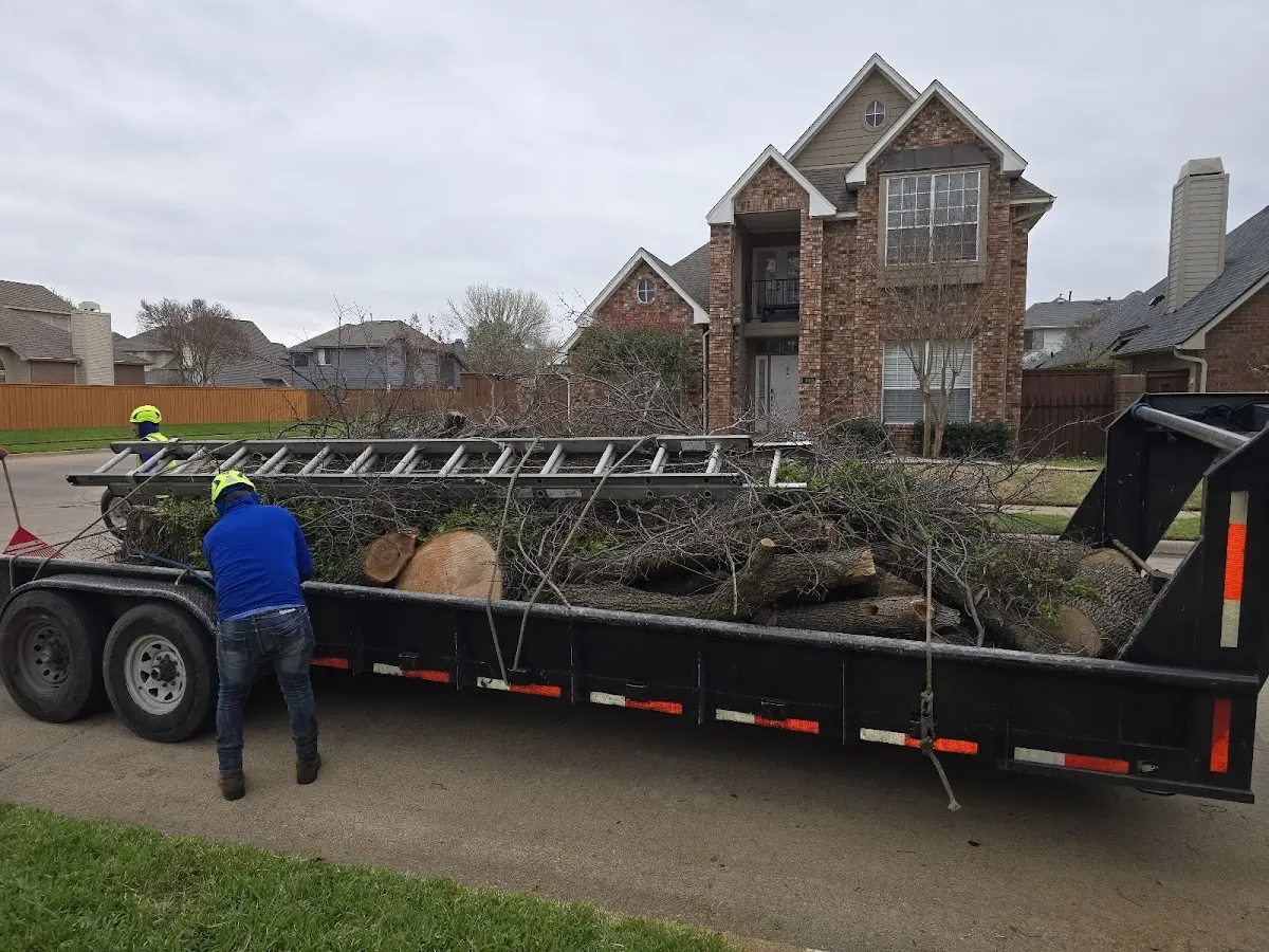 Expert Lot Clearing with proper safety equipment in Brownsdale
